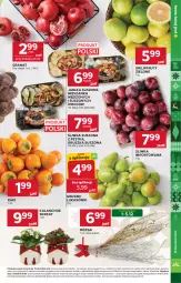 Gazetka promocyjna Stokrotka - Supermarket - Gazetka - ważna od 03.12 do 03.12.2025 - strona 13 - produkty: Warzywa, Por, Gra, Granat, Kaki, Kalanchoe, Gruszki, Owoce, Skrzat, Mięso, Jabłka, Grejpfrut