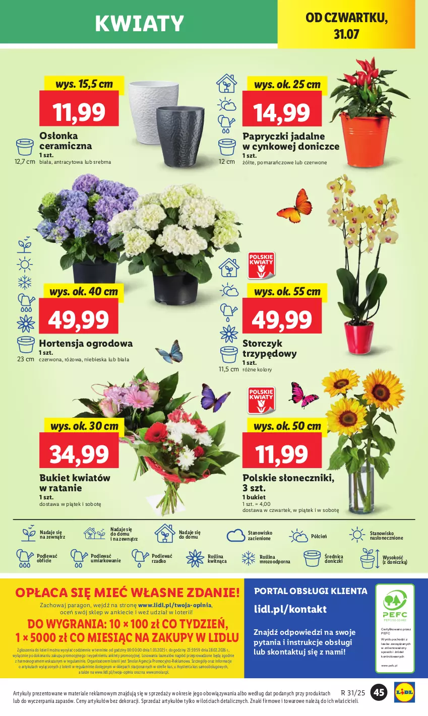 Gazetka promocyjna Lidl - GAZETKA - ważna 31.07 do 02.08.2025 - strona 53 - produkty: Bukiet, Cień, Cynk, Gra, Laur, Mola, O nas, Osłonka, Por, Portal, Sok, Storczyk