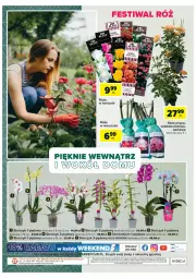 Gazetka promocyjna Carrefour - Gazetka Dom inspirujący - Gazetka - ważna od 01.10 do 01.10.2022 - strona 16 - produkty: Róża, Storczyk