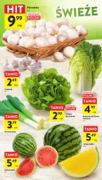 Gazetka promocyjna Intermarche - Gazetka Intermarche - Gazetka - ważna od 12.07 do 12.07.2023 - strona 12 - produkty: Piec, Por, Czosnek, Sałat, Pieczarka, Arbuz