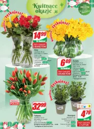 Gazetka promocyjna Dino - Gazetka 13 / 2024 - Gazetka - ważna od 02.04 do 02.04.2024 - strona 56 - produkty: Sok, Tulipan, Bukiet