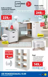 Gazetka promocyjna Lidl - GAZETKA - Gazetka - ważna od 19.09 do 19.09.2021 - strona 19 - produkty: Sok, Por, Biurko, Regał, Szafka, Poduszka, Podkład