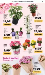 Gazetka promocyjna Netto - Gazetka spożywcza 3.03-9.03 - Gazetka - ważna od 09.03 do 09.03.2022 - strona 5 - produkty: Hiacynt, Róża, Tera