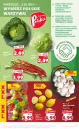 Gazetka promocyjna Kaufland - OFERTA TYGODNIA - Gazetka - ważna od 23.06 do 23.06.2021 - strona 9 - produkty: Piec, Warzywa, Gra, Sałata lodowa, Cytryny, Sałat, Danio, Jabłka