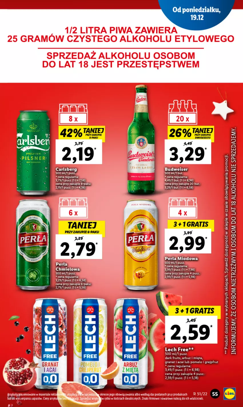 Gazetka promocyjna Lidl - GAZETKA - ważna 19.12 do 21.12.2022 - strona 67