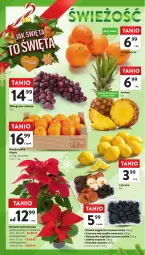 Gazetka promocyjna Intermarche - Gazetka Intermarche - Gazetka - ważna od 23.12 do 23.12.2023 - strona 26 - produkty: Ananas, Gwiazda, Pomarańcze, Wino