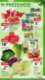 Gazetka promocyjna Intermarche - Gazetka Intermarche - Gazetka - ważna od 23.12 do 23.12.2023 - strona 27 - produkty: Piec, Rukola, Sałat, Pomidor malinowy, Fa