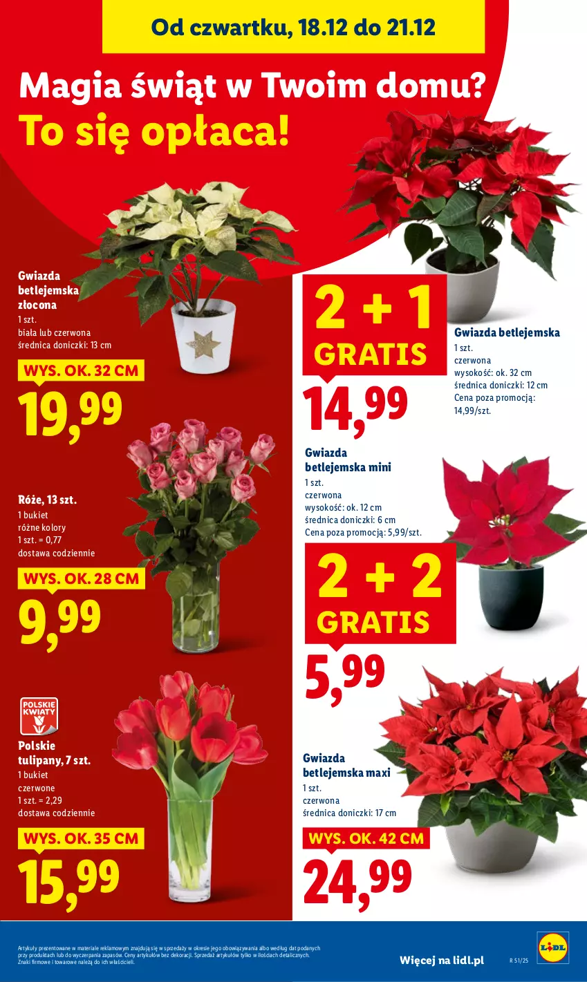 Gazetka promocyjna Lidl - GAZETKA - ważna 18.12 do 21.12.2025 - strona 33 - produkty: Bukiet, Gra, Gwiazda, Sok, Tulipan