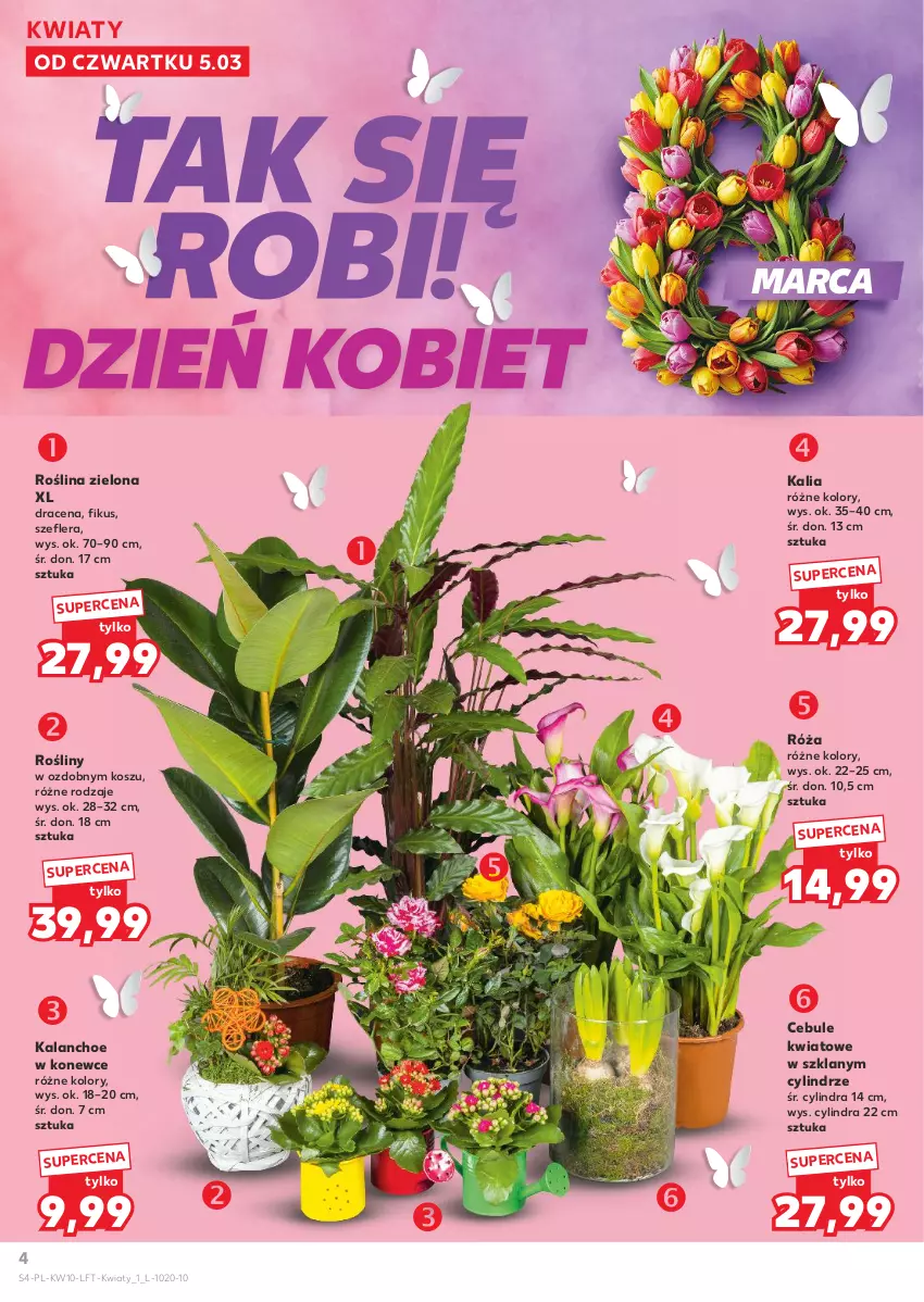 Gazetka promocyjna Kaufland - Gazetka tygodnia - ważna 05.03 do 11.03.2026 - strona 4 - produkty: Kalanchoe, Kosz, Róża