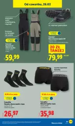 Gazetka promocyjna Lidl - GAZETKA - Gazetka - ważna od 28.02 do 28.02.2026 - strona 43 - produkty: Parkside, Sok, Ser, Telefon, Buty, Karp, Bokserki