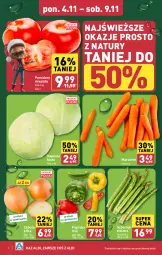 Gazetka promocyjna Aldi - Farmer ALDIK poleca świeże owoce i warzywa - Gazetka - ważna od 09.11 do 09.11.2024 - strona 2 - produkty: Cebula, Papryka, Pomidory