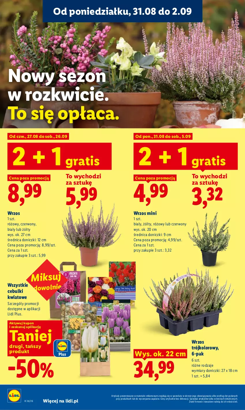 Gazetka promocyjna Lidl - Gazetka ważna od 31.08 do 2.09 - ważna 31.08 do 02.09.2026 - strona 86 - produkty: Gra