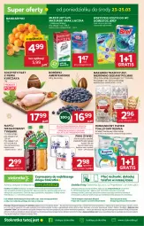 Gazetka promocyjna Stokrotka - Market - Gazetka - ważna od 25.03 do 25.03.2026 - strona 30 - produkty: Piwa, Piwo, Kurczak, Mandarynki, Domestos, Makaron, Warzywa, Ser, Rum, JBL, Gin, Gra, Telefon, Papier, Filet z piersi kurczaka, Bref, O nas, Mlekovita, Papier toaletowy, Dres, Optima, Tymbark, Owoce, Napój niegazowany, Wagi, Napój, Olma, Mięso, Mleko