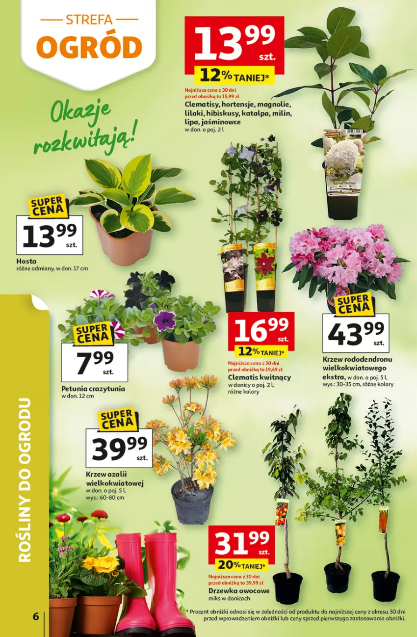 Gazetka promocyjna Auchan - 30 Lat Hipermarket - ważna 29.04 do 06.05.2026 - strona 6 - produkty: Fa, Hibiskus, Ogród