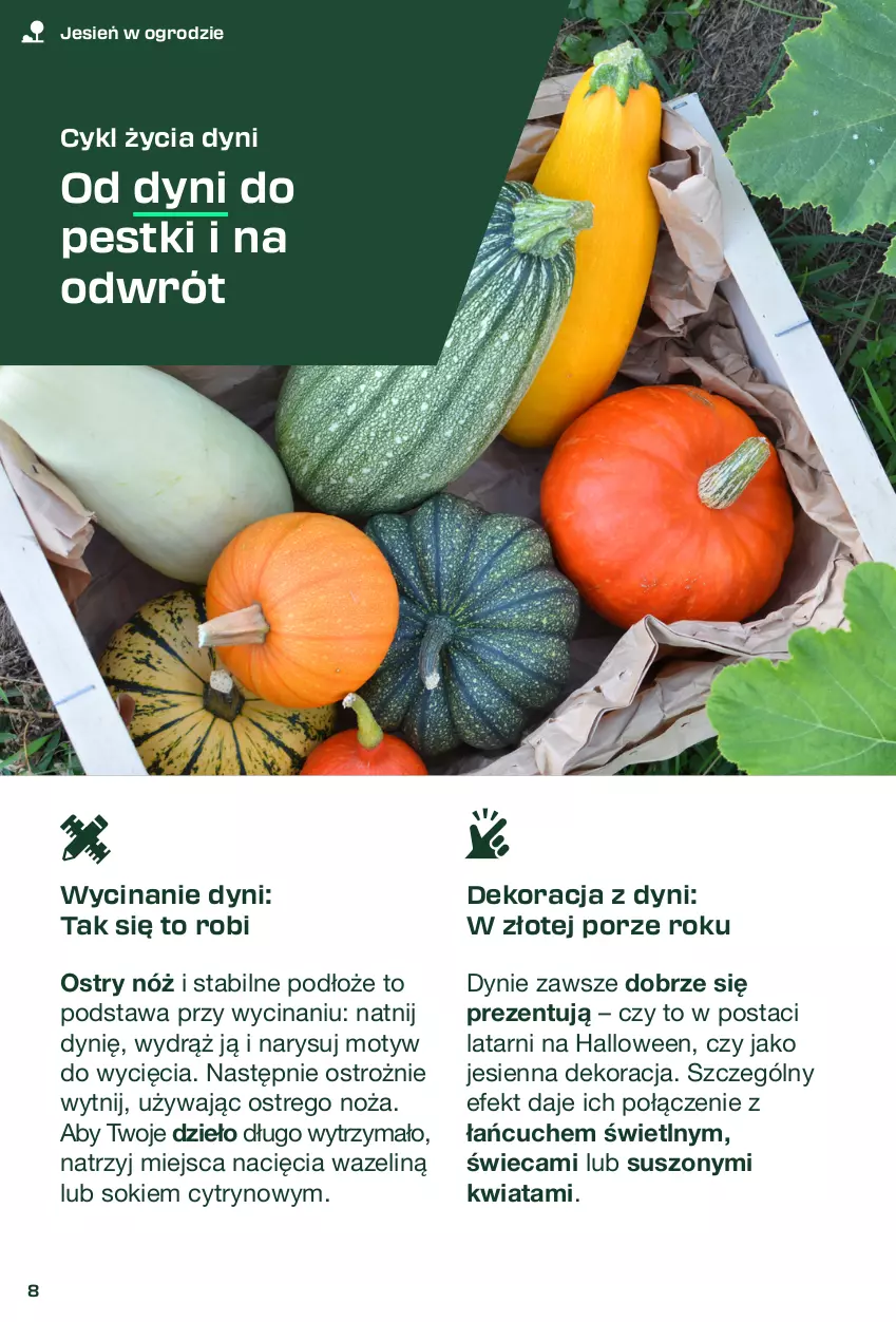 Gazetka promocyjna Lidl - Magazyn PARKSIDE - ważna 31.08 do 11.10.2025 - strona 8 - produkty: Noż, Por, Sok