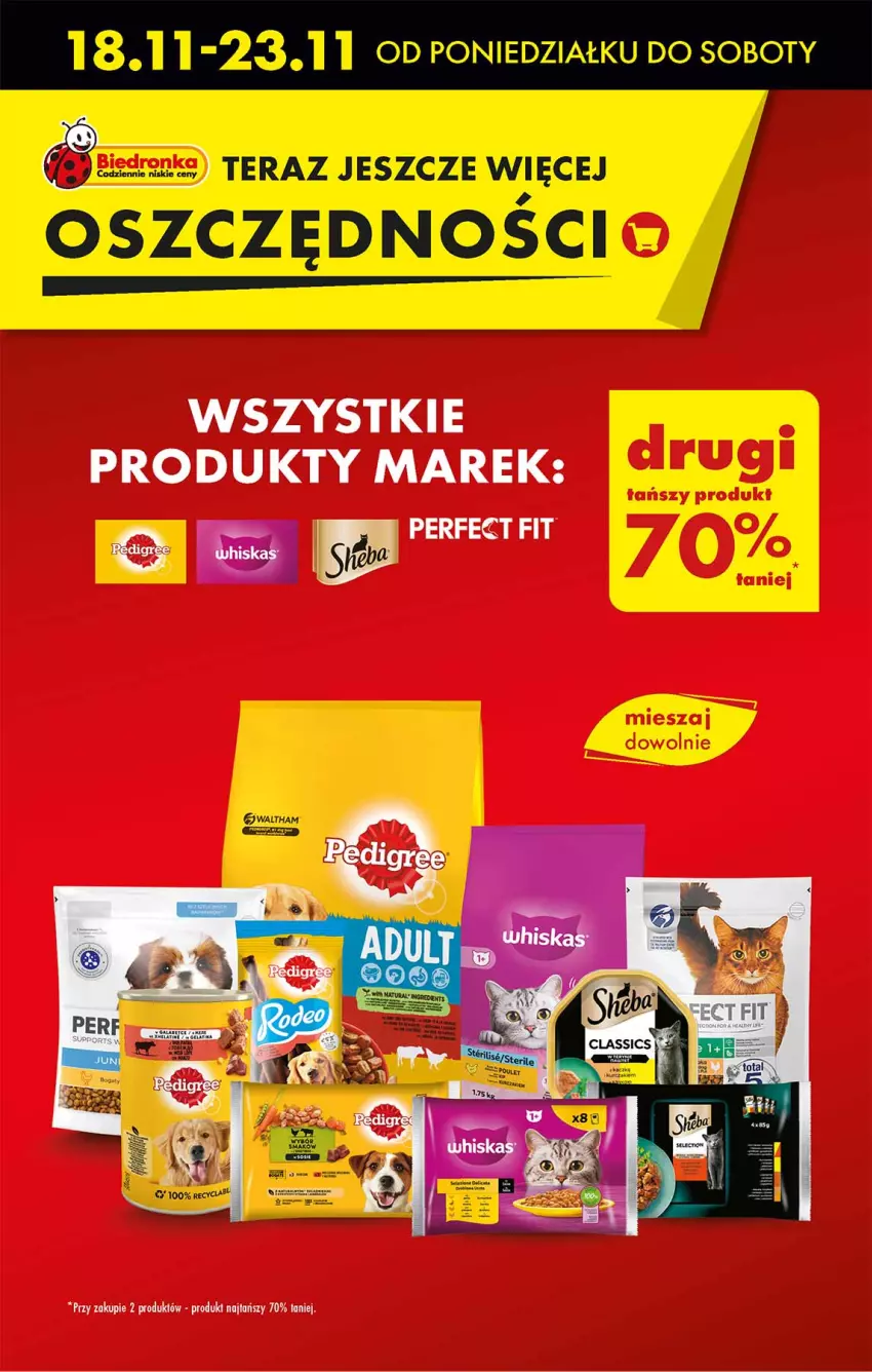 Gazetka promocyjna Biedronka - Od Poniedziałku - ważna 18.11 do 23.11.2024 - strona 17 - produkty: Tera