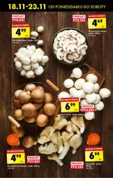 Gazetka promocyjna Biedronka - Od Poniedziałku - Gazetka - ważna od 23.11 do 23.11.2024 - strona 70 - produkty: Piec, Pieczarka, Boczniak