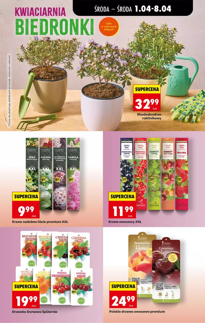 Gazetka promocyjna Biedronka - Od Środy - ważna 01.04 do 02.04.2026 - strona 75 - produkty: Gres, Wazon