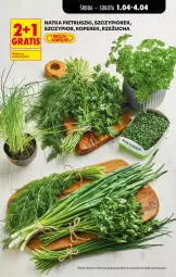 Gazetka promocyjna Biedronka - Od Środy - Gazetka - ważna od 02.04 do 02.04.2026 - strona 23 - produkty: Por, Gra, Natka pietruszki