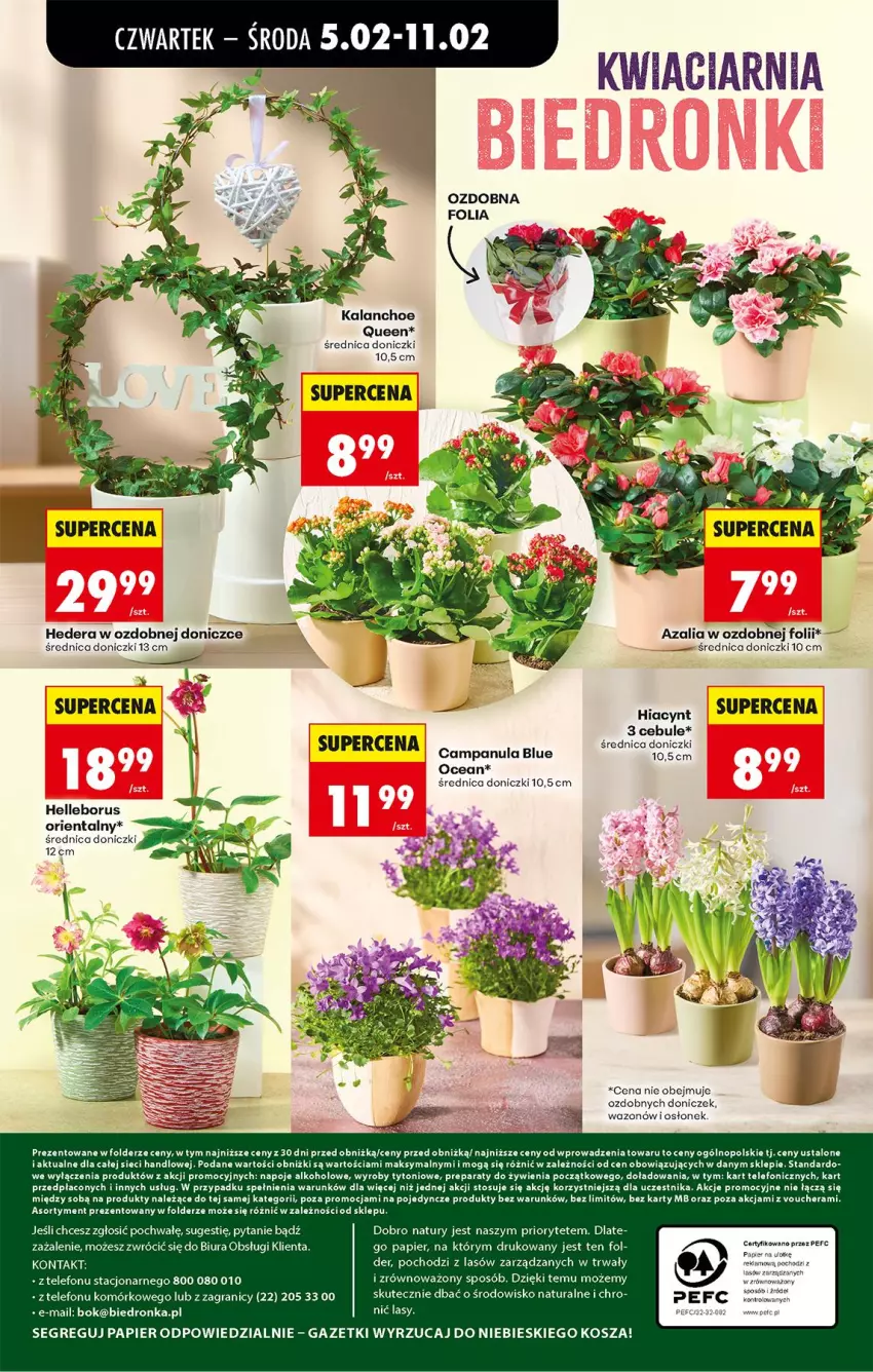 Gazetka promocyjna Biedronka - Gazetka - ważna 05.02 do 12.02.2026 - strona 67 - produkty: Campanula, Gra, Hiacynt, Kalanchoe, Kosz, Napoje, Papier, Telefon, Wazon
