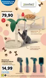 Gazetka promocyjna Lidl - GAZETKA - Gazetka - ważna od 28.08 do 28.08.2022 - strona 18 - produkty: Hama, Szczotka, Drapak