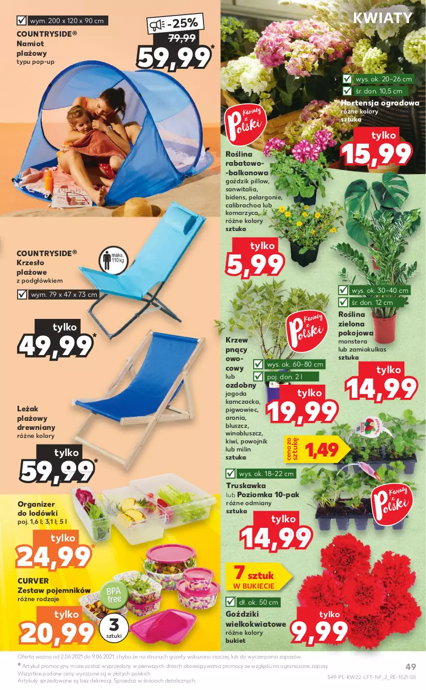 Gazetka promocyjna Kaufland - OFERTA TYGODNIA - ważna 02.06 do 09.06.2021 - strona 49 - produkty: Aronia, Bukiet, Gra, Kiwi, Krzesło, Namiot, Organizer, Pigwowiec, Pojemnik, Tera, Wino