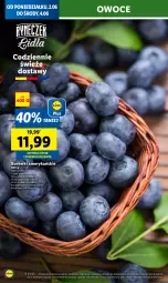 Gazetka promocyjna Lidl - GAZETKA - Gazetka - ważna od 04.06 do 04.06.2025 - strona 14 - produkty: Owoce