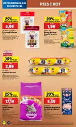 Gazetka promocyjna Lidl - GAZETKA - Gazetka - ważna od 04.06 do 04.06.2025 - strona 60 - produkty: Kurczak, Sos, Whiskas, Stek, Kawa, Przysmaki, Wołowina, Kabanos, Kiełbasa, Przysmak dla kota, Sucha karma