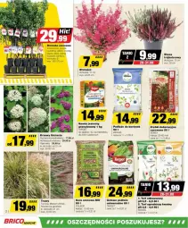 Gazetka promocyjna Bricomarche - Gazetka - ważna od 07.09 do 07.09.2024 - strona 2 - produkty: Sos, Gra, Bukiet, Nawóz