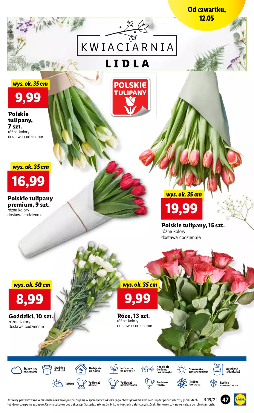 Gazetka promocyjna Lidl - GAZETKA - ważna 12.05 do 14.05.2022 - strona 47 - produkty: Cień, O nas, Por, Sok, Tulipan