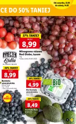 Gazetka promocyjna Lidl - GAZETKA - Gazetka - ważna od 14.05 do 14.05.2022 - strona 11 - produkty: Borówka, Borówka amerykańska, Wino