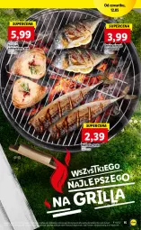 Gazetka promocyjna Lidl - GAZETKA - Gazetka - ważna od 14.05 do 14.05.2022 - strona 15 - produkty: Top, Stek, Tusz, Tuńczyk, Grill