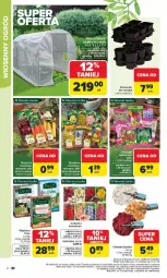 Gazetka promocyjna Carrefour - Gazetka Łap super okazje od poniedziałku! - Gazetka - ważna od 28.02 do 28.02.2026 - strona 2 - produkty: Cebula, Vita C, Fa