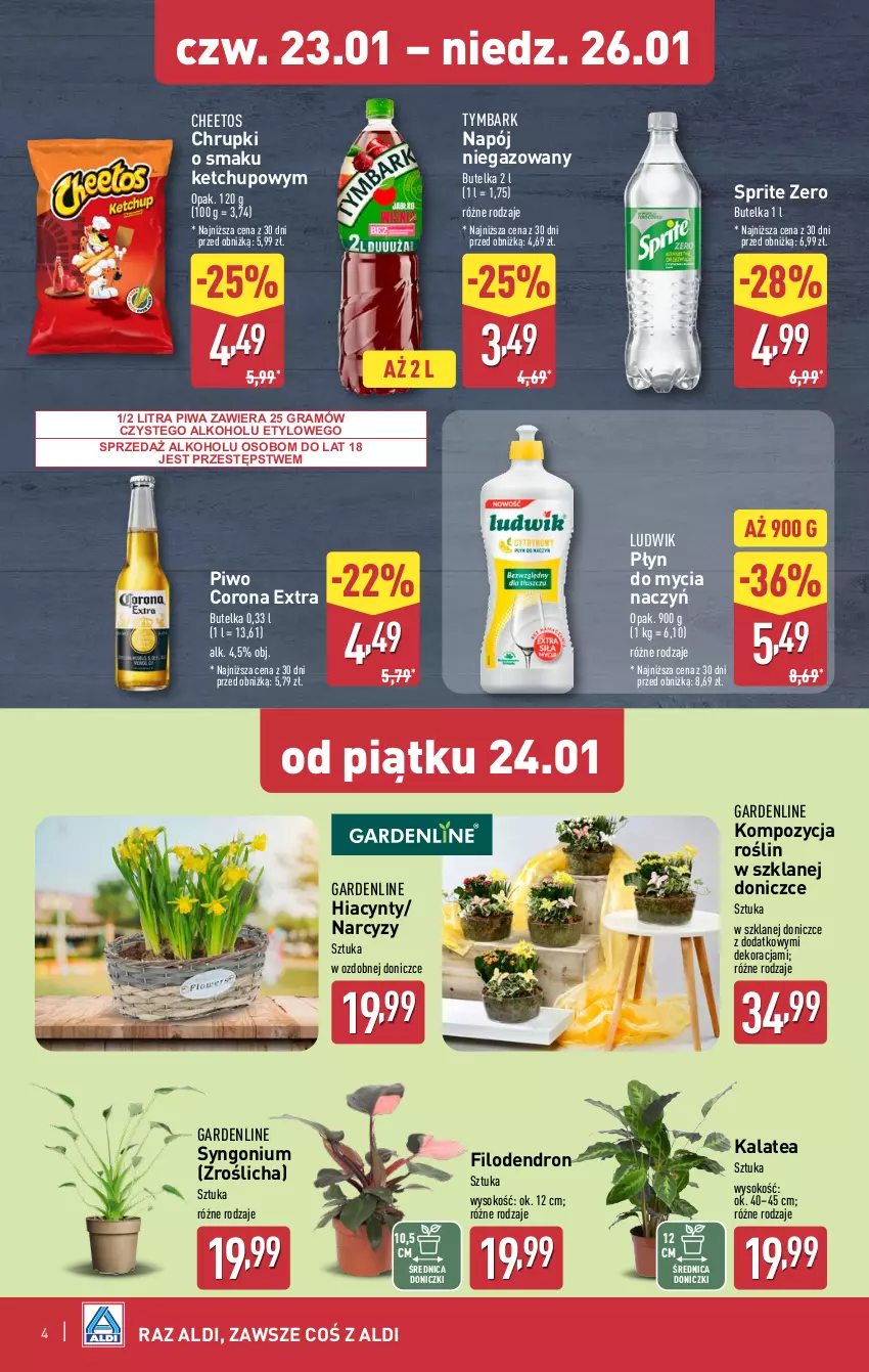 Gazetka promocyjna Aldi - Okazje na weekend - ważna 23.01 do 26.01.2025 - strona 4 - produkty: Cheetos, Chrupki, Corona Extra, Do mycia naczyń, Gra, Hiacynt, Ketchup, Ludwik, Napój, Napój niegazowany, Narcyz, Piwa, Piwo, Płyn do mycia, Płyn do mycia naczyń, Sok, Sprite, Tymbark