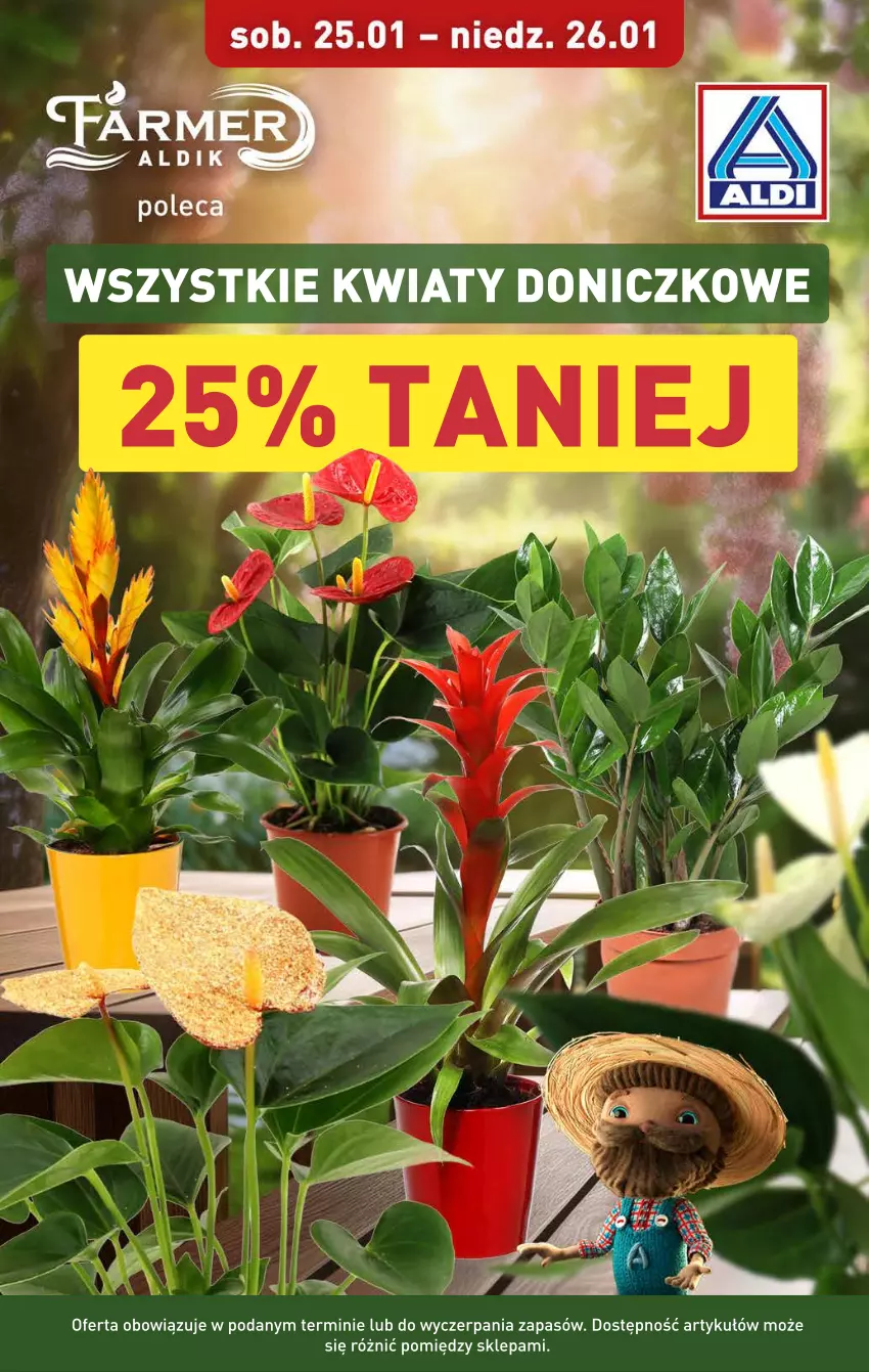 Gazetka promocyjna Aldi - Okazje na weekend - ważna 23.01 do 26.01.2025 - strona 5