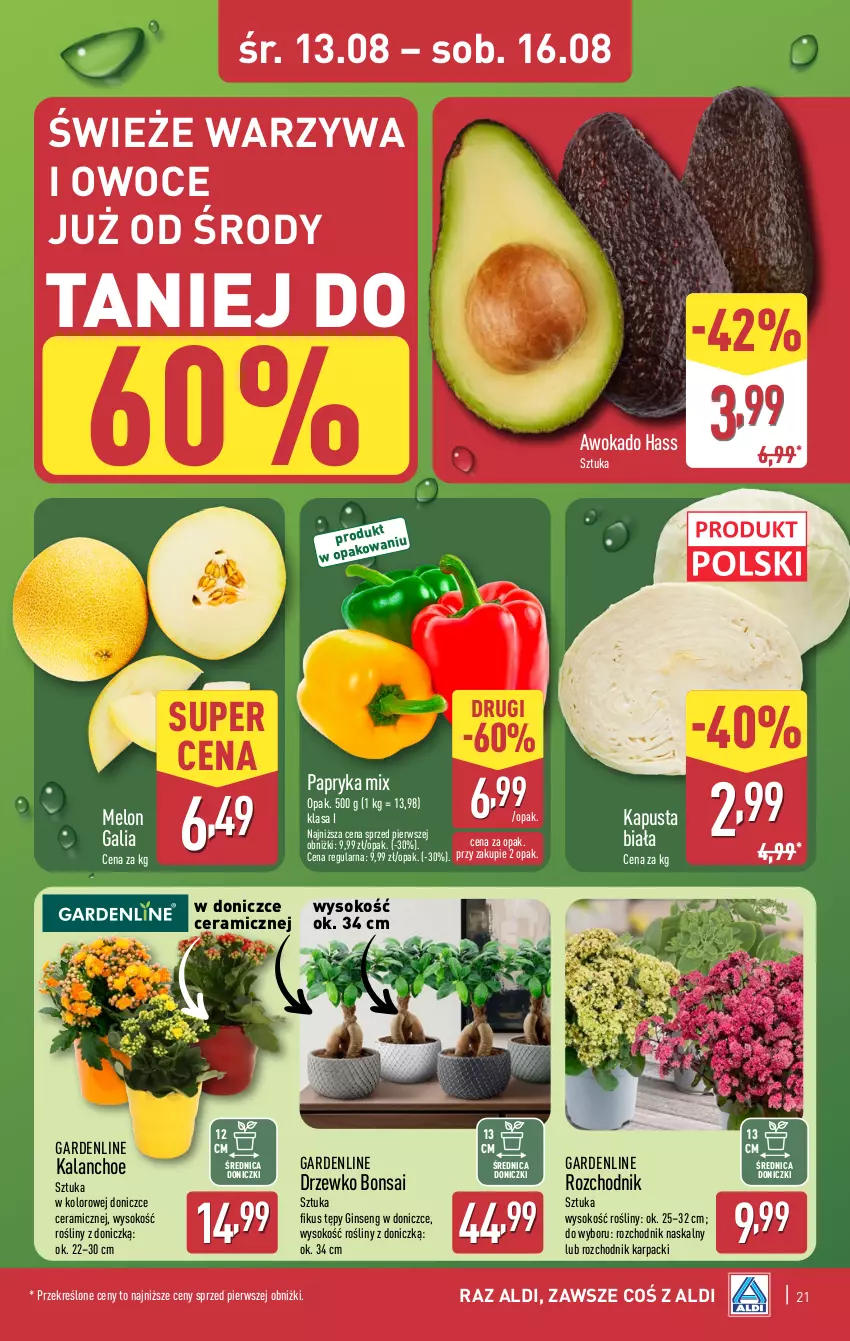 Gazetka promocyjna Aldi - Pełna oferta - ważna 11.08 do 16.08.2025 - strona 21 - produkty: Chodnik, Gin, Kalanchoe, Karp, Melon, Owoce, Papryka, Sok, Warzywa, Warzywa i owoce