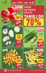 Gazetka promocyjna Aldi - Pełna oferta - Gazetka - ważna od 16.08 do 16.08.2025 - strona 2 - produkty: Czosnek, Fasola, Fasola szparagowa, Grunt, Pomidory, Fa