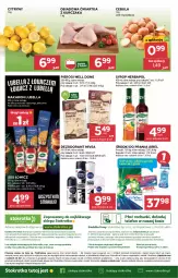 Gazetka promocyjna Stokrotka - Market - Gazetka - ważna od 12.11 do 12.11.2025 - strona 24 - produkty: Kurczak, Lubella, Pierogi, Cebula, Makaron, Warzywa, Sos, Ser, JBL, Telefon, Bell, Dezodorant, Cytryny, O nas, Dres, Syrop, Owoce, Bella, Ariel, Wagi, Lenor, Mięso, Herbapol, Nivea