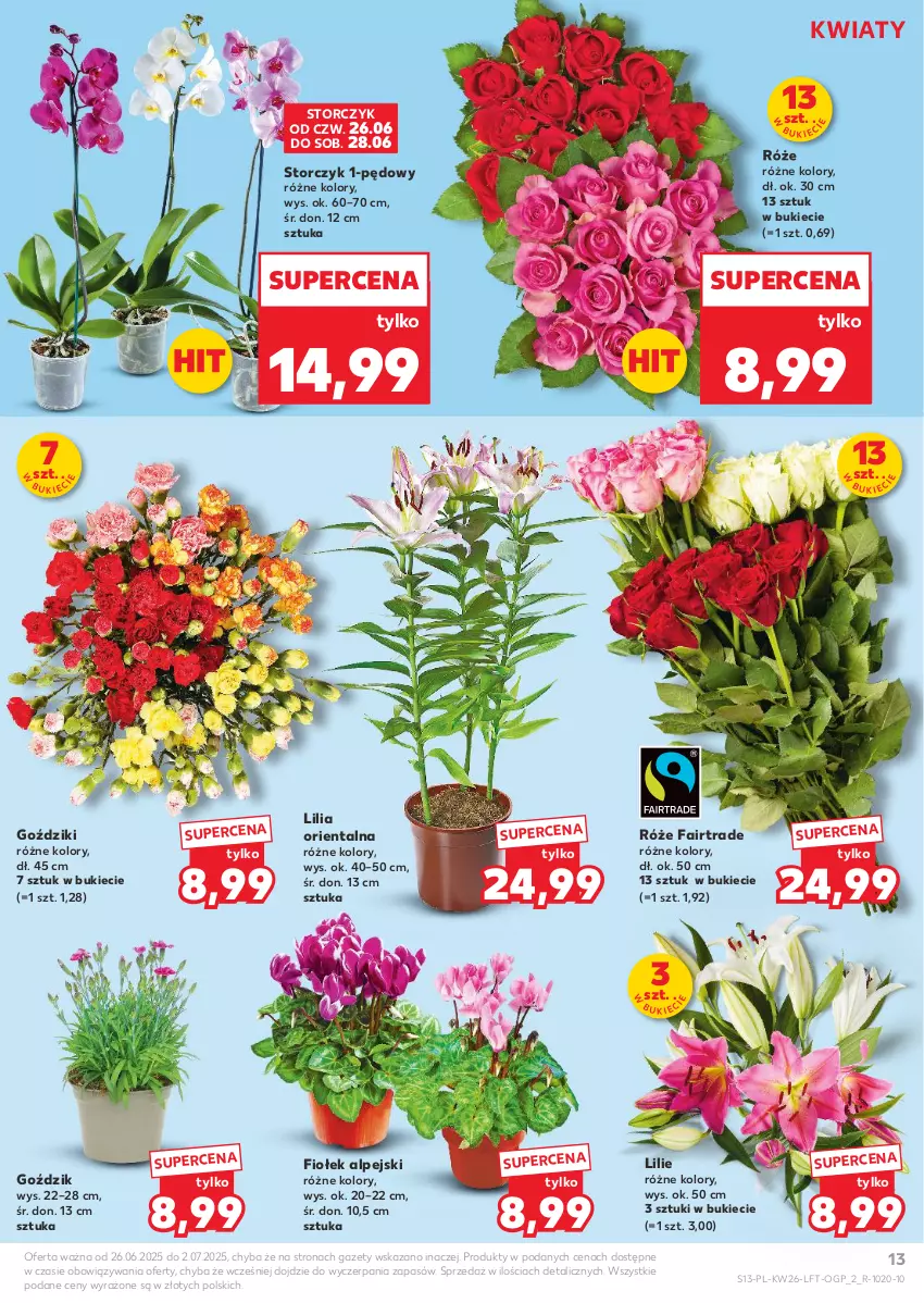 Gazetka promocyjna Kaufland - Gazetka tygodnia - ważna 26.06 do 02.07.2025 - strona 13 - produkty: Fa, Storczyk