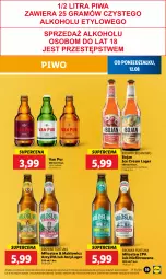 Gazetka promocyjna Lidl - GAZETKA - Gazetka - ważna od 14.08 do 14.08.2024 - strona 45 - produkty: Piwo, Pur, Fortuna