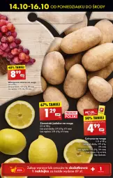 Gazetka promocyjna Biedronka - Od Poniedziałku - Gazetka - ważna od 19.10 do 19.10.2024 - strona 21 - produkty: Ziemniaki, Wino, LG