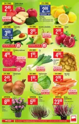 Gazetka promocyjna PoloMarket - Gazetka pomocyjna - Gazetka - ważna od 12.10 do 12.10.2021 - strona 5 - produkty: Cebula, Ziemniaki, Tera, Laur, Fa