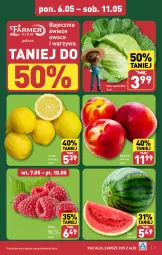 Gazetka promocyjna Aldi - Farmer ALDIK poleca świeże owoce i warzywa - Gazetka - ważna od 11.05 do 11.05.2024 - strona 3 - produkty: Warzywa, Cytryny, Maliny, Owoce, Arbuz, Nektar