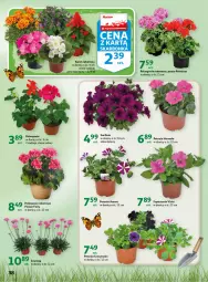 Gazetka promocyjna Auchan - Gazetka Wiosenne korzyści Hipermarket Auchan - Gazetka - ważna od 26.04 do 26.04.2023 - strona 38 - produkty: Surf, Fairy, Fa