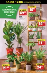 Gazetka promocyjna Biedronka - Od Piątku - Gazetka - ważna od 22.08 do 22.08.2024 - strona 56 - produkty: Gin, BIC, Wazon, Sukulent