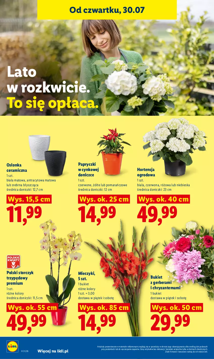 Gazetka promocyjna Lidl - Gazetka ważna od 30.07. do 01.08. - ważna 30.07 do 01.08.2026 - strona 94 - produkty: Bukiet, Chryzantema, Cynk, Gerber, Miecz, Osłonka, Storczyk