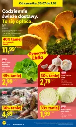 Gazetka promocyjna Lidl - Gazetka ważna od 30.07. do 01.08. - Gazetka - ważna od 01.08 do 01.08.2026 - strona 48 - produkty: Piec, Sałata masłowa, Czosnek, Sałat, Grill, Masło