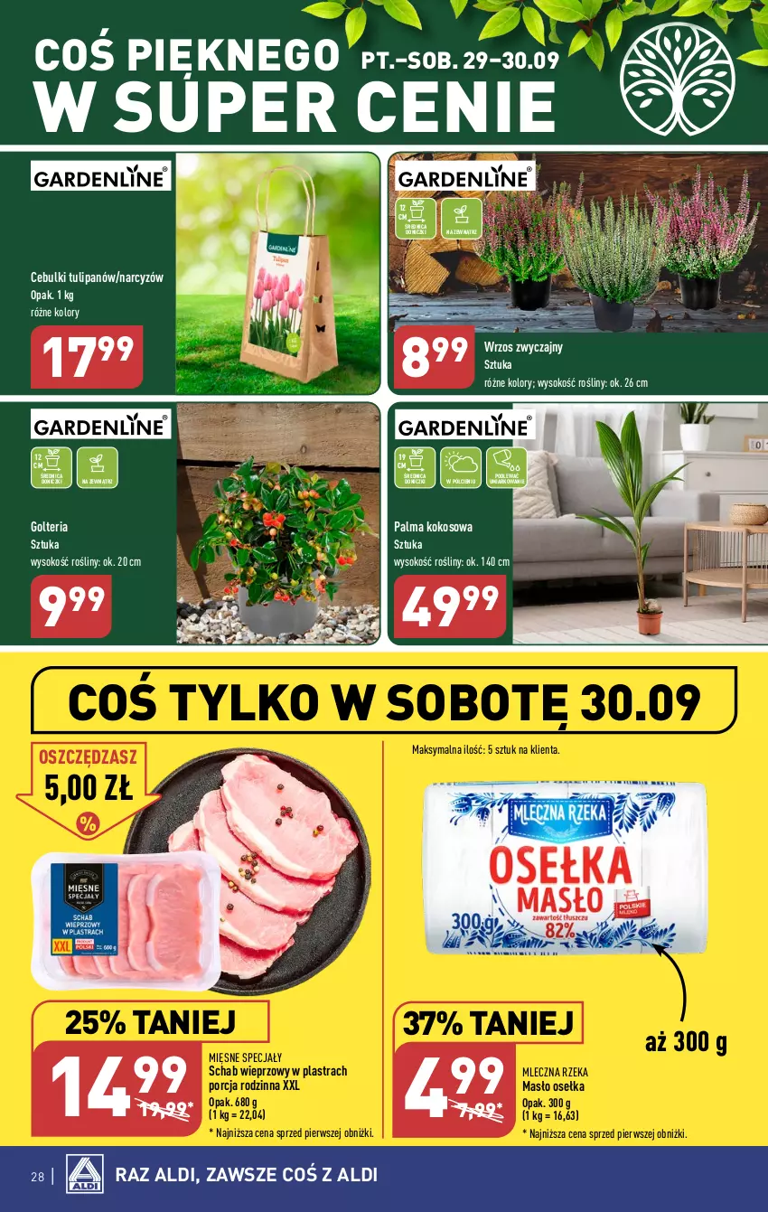 Gazetka promocyjna Aldi - Pełna oferta - ważna 25.09 do 30.09.2023 - strona 28 - produkty: Kokos, Masło, Mięsne specjały, Mleczna Rzeka, Narcyz, Palma, Por, Schab wieprzowy, Sok, Tulipan