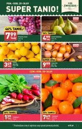 Gazetka promocyjna Aldi - Pełna oferta - Gazetka - ważna od 30.09 do 30.09.2023 - strona 3 - produkty: Mandarynki, Cebula, Cytryny, Gruszki, Winogrona, Wino