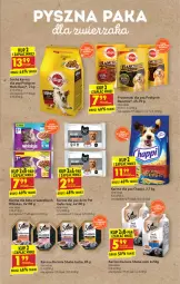 Gazetka promocyjna Biedronka - W tym tygodniu - Gazetka - ważna od 10.07 do 10.07.2021 - strona 53 - produkty: Whiskas, Chia, Chappi, Sheba, Przysmaki, Gala, Pedigree